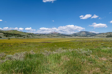 Yellowstone National Park