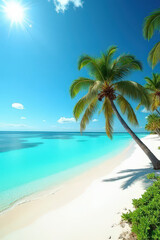 Fototapeta premium palm tree on the beach