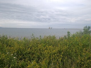 Tenger &eacute;s tengerpart. Parti n&ouml;v&eacute;nyzet, parti &eacute;p&uuml;letek