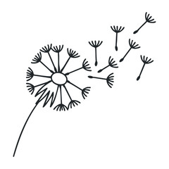 Dandelion seeds blowing in the wind: symbol of change and freedom. Vector illustration