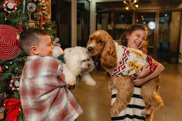 Latino children playing with dogs in festive sweaters by Christmas tree