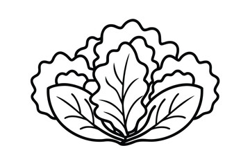 Obraz premium Vector Icon Set Of Leafy Vegetables Line Art