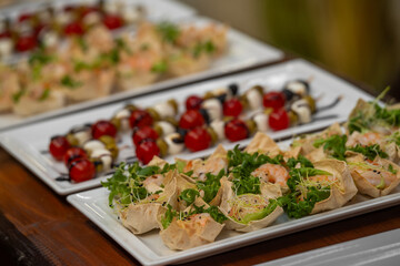 Gourmet shrimp wraps with fresh lettuce and sprouts served on a white platter. In the background, colorful caprese skewers with cherry tomatoes, mozzarella, and olives drizzled with balsamic glaze.