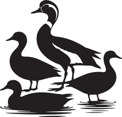 White geese and young wild ducks with feathers on a lake