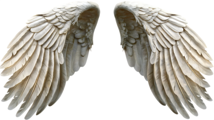stunning oversized fantasy angel wings isolated on white background, png, ai generated.