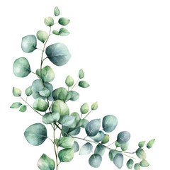 My Watercolor hand-painted eucalyptus branch frame painting illustration isolated on a white background, vector illustration, AI painting design, EPS format design. vector © Zizak
