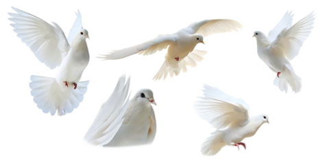 an image of a white dove of peace flying over a tr isolated on white background, png, ai generated.