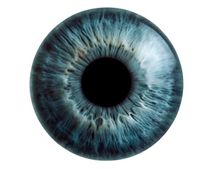blue eye iris png sticker ridology image isolated on white background, png, ai generated.