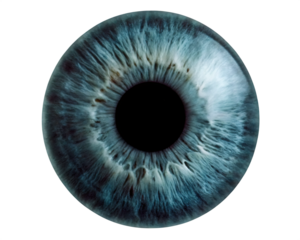 blue eye iris png sticker ridology image isolated on white background, png, ai generated.