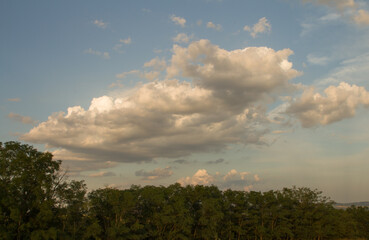 Obraz premium A group of trees with clouds in the sky