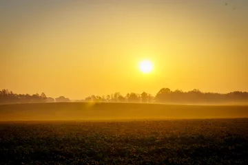 Selbstklebende Fototapeten Melone Sunrise over misty rural field with golden light and autumn landscape  © Dreamnordno