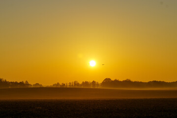 Sunrise over misty rural field with golden light and autumn landscape