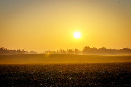 Sunrise over misty rural field with golden light and autumn landscape