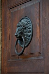 Lion&rsquo;s gaze guards silence. Iron ring waits in stillness. Ancient dignity lingers. Door becomes a ritual of entry, not just passage.

