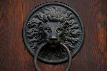 Lion’s gaze guards silence. Iron ring waits in stillness. Ancient dignity lingers. Door becomes a ritual of entry, not just passage.

