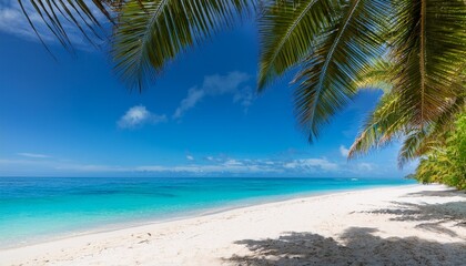 bright sky beach scene turquoise water kissing white sand under clear skies palm shade evoking paradise