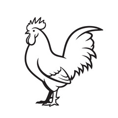 vector illustration of a chicken
