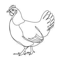 illustration of a chicken or hen. The illustration is a silhouette or outline drawing, with the key features of the bird clearly visible
