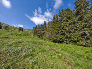 Fototapety na wymiar - Fototapeta24.pl