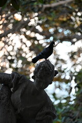 fontanna woda ludzkie postacie kobieta mężczyzna dziecko gołąb na głowie © Miroslaw