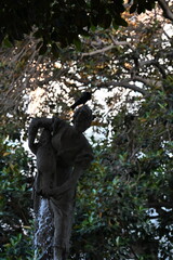 fontanna woda ludzkie postacie kobieta mężczyzna dziecko gołąb na głowie © Miroslaw