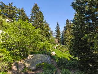 Spring Panorama of Vitosha Mountain, Bulgaria