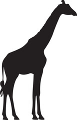 Giraffe silhouette vector, tall African wildlife animal, black graphic illustration isolated, nature themed artwork for stock use, standing pose on white background