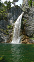 Obraz premium waterfall in the forest