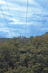 Photograph of old style transmission lines running through a lush green forest near a small town in...