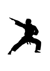 Martial Artist Silhouette in Action Pose