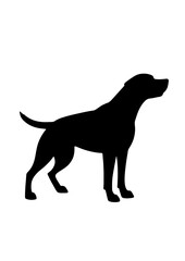 Dog Silhouette Standing Alert