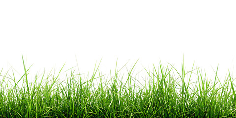 Fototapeta premium hi resolution image of fresh green grass isolated on white background, png, ai generated.