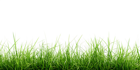 hi resolution image of fresh green grass isolated on white background, png, ai generated.