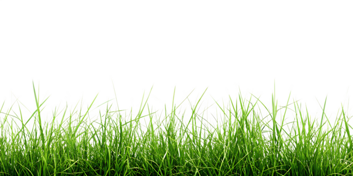 hi resolution image of fresh green grass isolated on white background, png, ai generated.