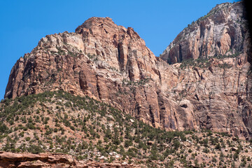 Massive sandstone walls of the Watchman in Zion National Park rise vertically from the canyon floor, with striated red and tan layers visible beneath a blue desert sky
