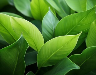 close up of vibrant green plant leaves