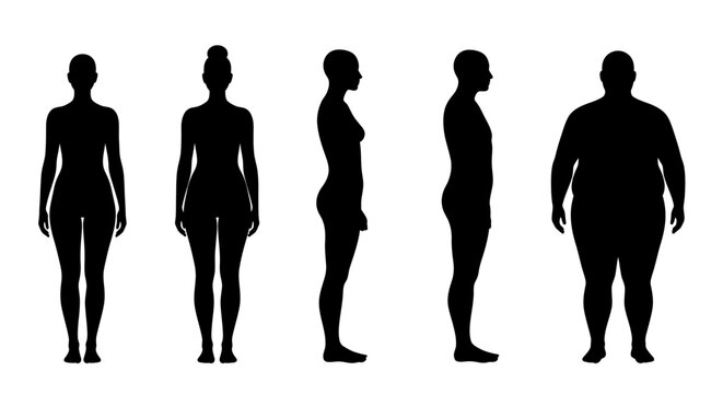 Human Body Types and Shapes Silhouette