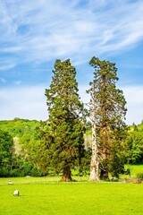 Farms in Lake District National Park, Coniston Water, Cumbria, England