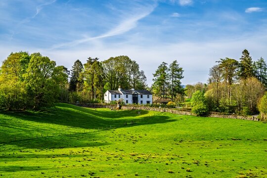 Farms in Lake District National Park, Coniston Water, Cumbria, England