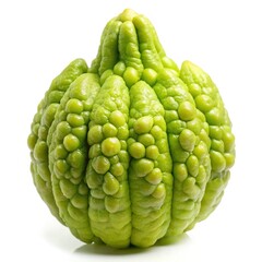 Fototapeta premium Close up studio shot of a fresh green bitter melon gourd