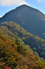 紅葉の御坂山地　横沢ノ頭より王岳を望む

