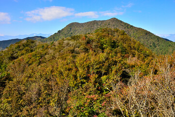 御坂山地の五湖山から眺める紅葉の山梨百名山　三方分山
