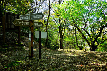 御坂山地の女坂峠（阿難坂峠）