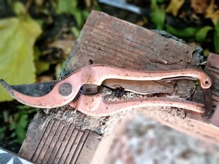 Old Rusty Pruning Shears on Weathered Bricks Outdoors