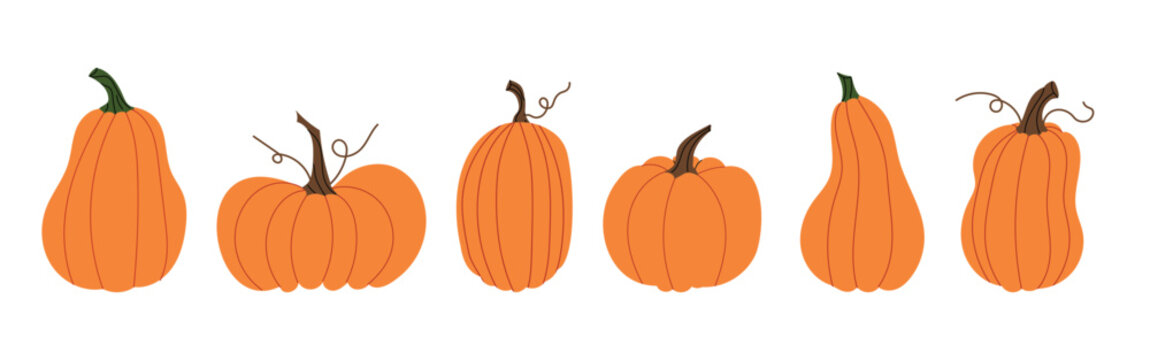 Set of orange pumpkins in different shapes. Hand-drawn flat vector collection for autumn design, fall decor, harvest festival and Thanksgiving. Cute seasonal elements isolated on white.