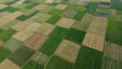 Aerial view of diverse agricultural fields forming green, brown patchwork mosaic. Geometric squares of cultivated land show varied crops, growth stages. Geometric pattern of farmland suggests organic