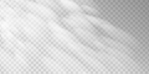 Dappled sunlight filters through tree leaves, casting soft shadows on a concrete wall. Natural overlay and blurred foliage create a calm, minimal jungle inspired background.