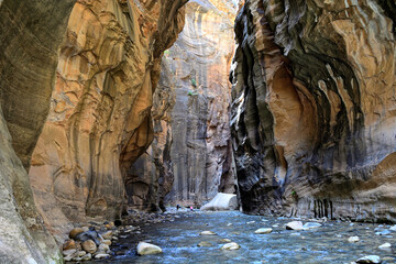 The Zion Narrows, Washington County Utah USA 6-9-2021