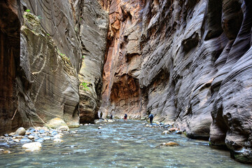 The Zion Narrows, Washington County Utah USA 6-9-2021