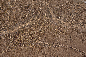 Rippling clear seawater creates natural light patterns over smooth wet sand in a shallow coastal area during sunny weather